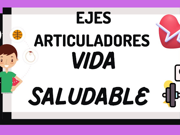 Ejes Articuladores 5- Vida Saludable 