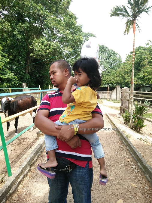 Jalan-jalan di PD Ostrich Farm 