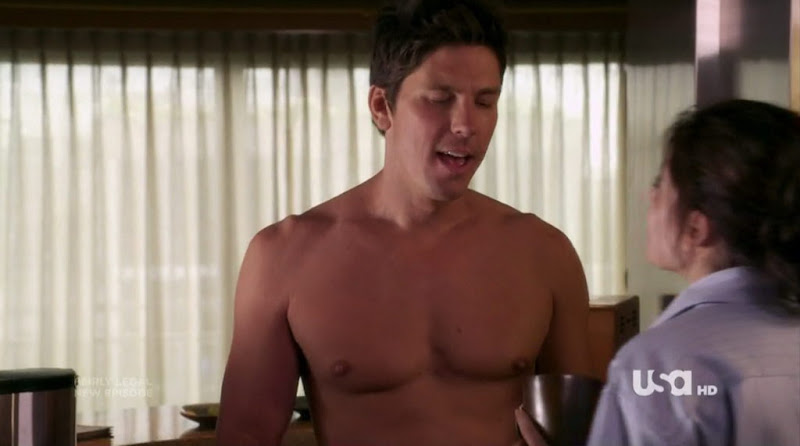 Michael Trucco Shirtless on Fairly Legal s1e05