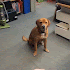 The Funniest GIFs of the Week