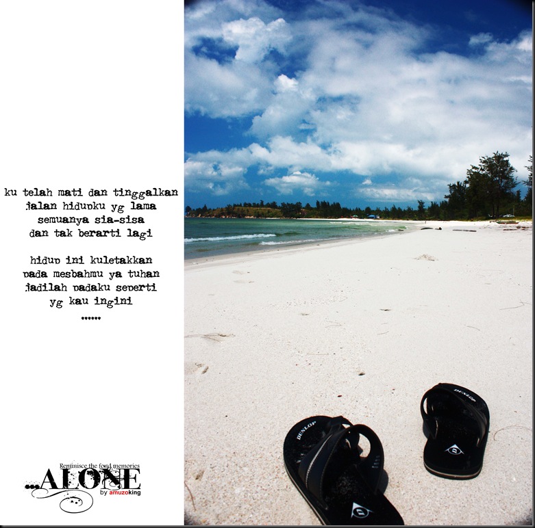 IMG_0752 alone
