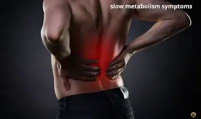 slow metabolism symptoms 10 signs of a slow metabolism