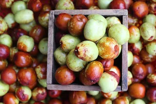 Beyond Apples: Discover the Hidden Health Benefits of America's Lesser-Known Fruits