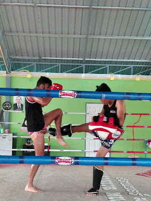 http://honourmuaythai.com/