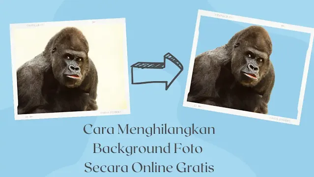 Cara Menghilangkan Background Foto Secara Online Gratis