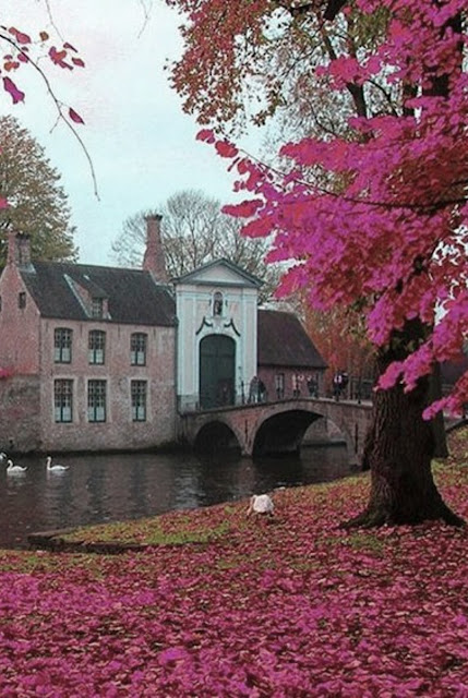 Breathtaking image of Bruges, Belgium with its medieval buildings and canal - found on Hello Lovely Studio