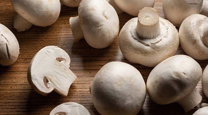 Do Indian button mushrooms contain vitamin D? | Organic mushrooms | Biobritte mushroom center