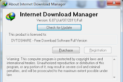Download IDM 6.07 Terbaru Full Version Serial Key ( IDM Agustus 2011 )