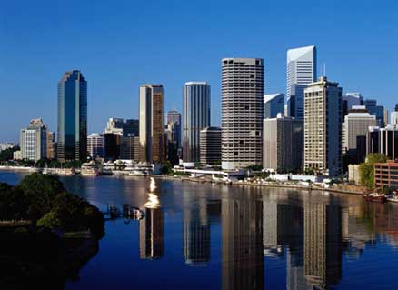 bull shark brisbane river. ull shark brisbane river.