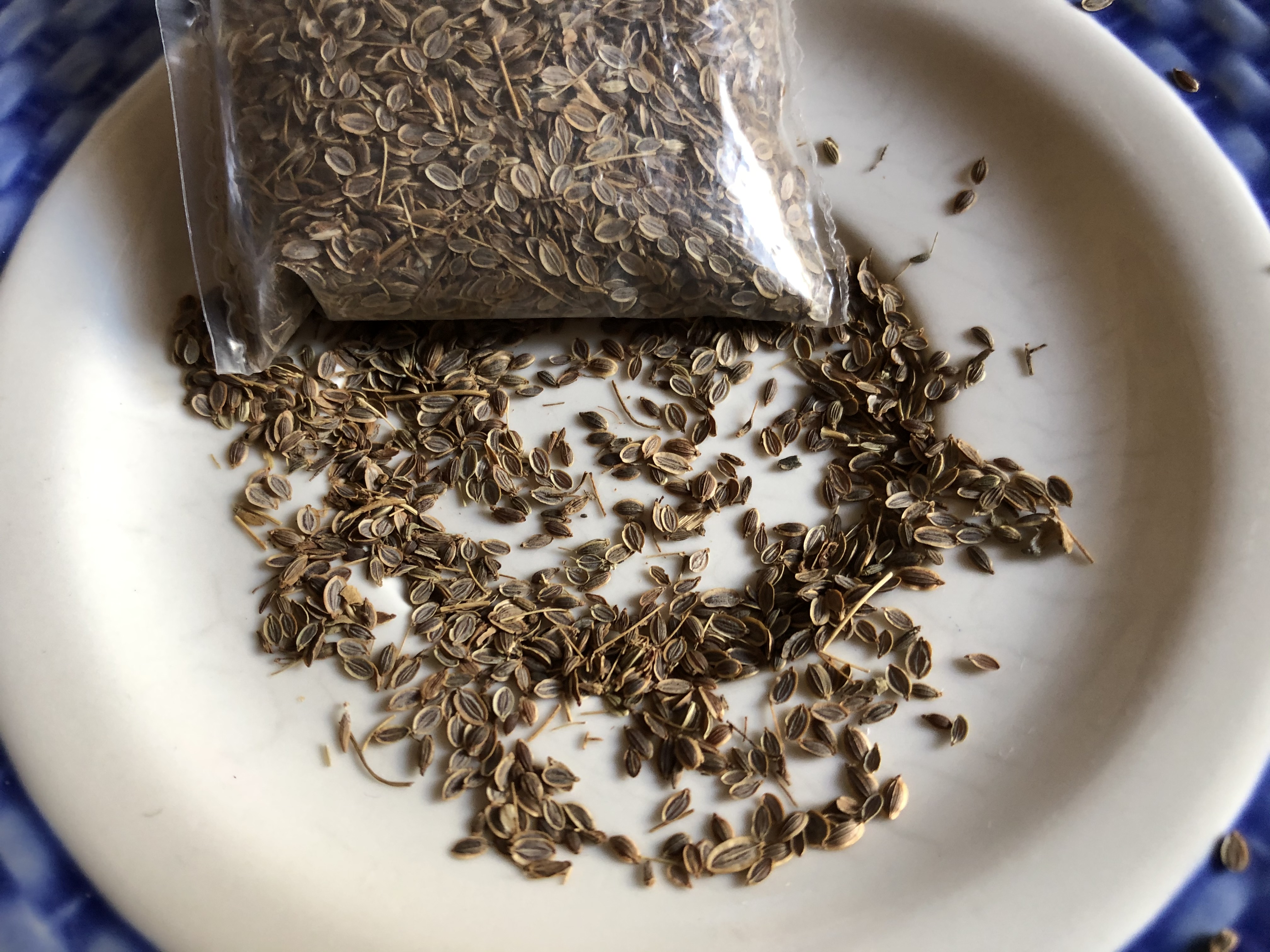 Dill seeds are flat, oval, with a light-brown color.