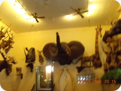 DSCN2448