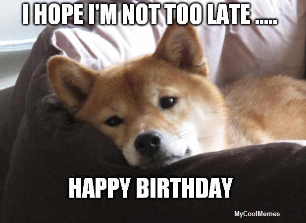 Funny Happy Birthday Dog Meme - MyCoolMemes