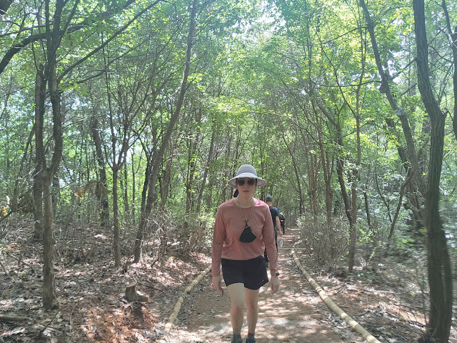 강동그린웨이 명일숲