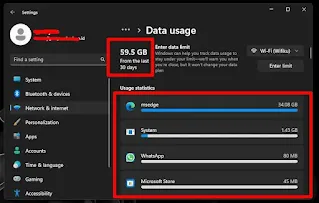 Statistik Penggunaan Data Windows 11