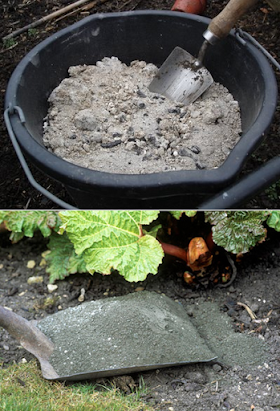 Using wood ashes in the garden