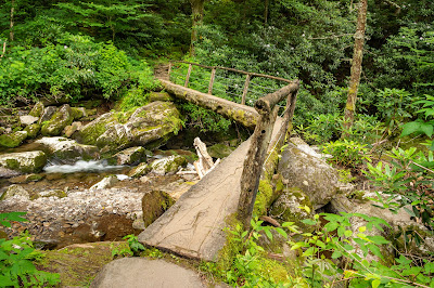 Ramsey Cascades Trail, Great Smoky Mountains National Park