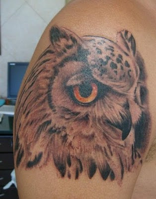 Home Tattoo Burung Tattoo Lengan Tattoo Burung Hantu 