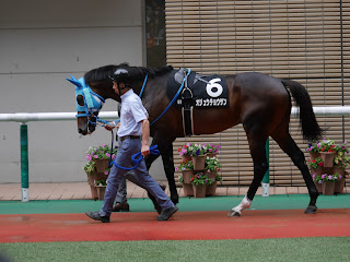 福島競馬場　オジュウチョウサン