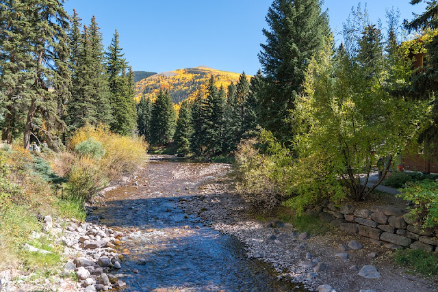 Vail Forrest