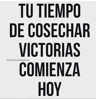 TIEMPO DE COSECHA