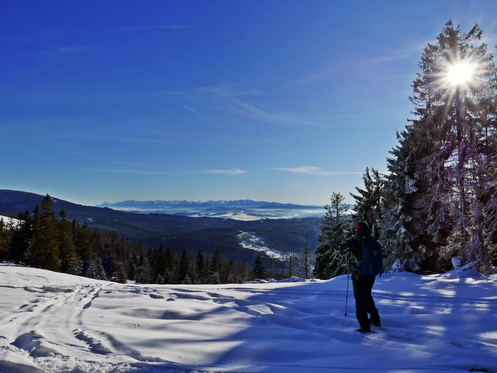 Beskid Żywiecki: Hala Boracza - Rysianka - Romanka