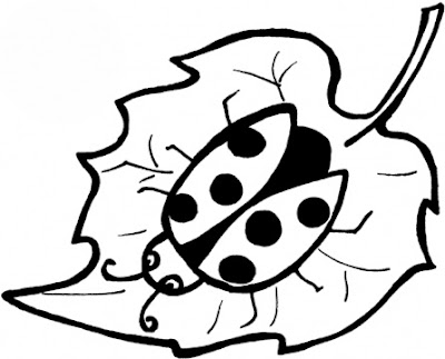 preschool coloring pages ladybird