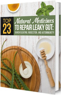Top 23 Natural Medicines To Repair Leaky Gut eBook