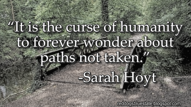 “It is the curse of humanity to forever wonder about paths not taken.” -Sarah Hoyt