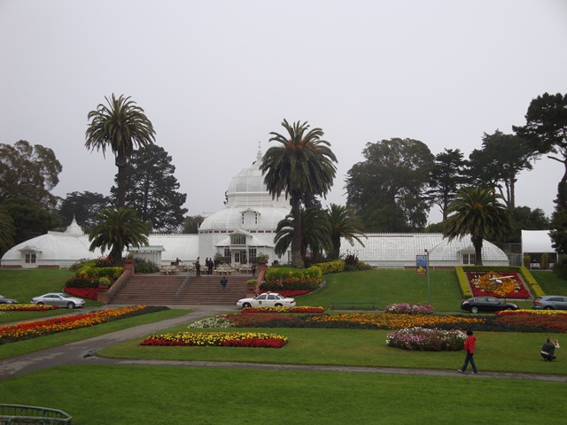 DSC00652