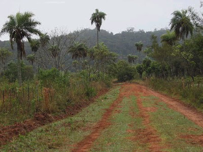 Agricultura en Bolivia