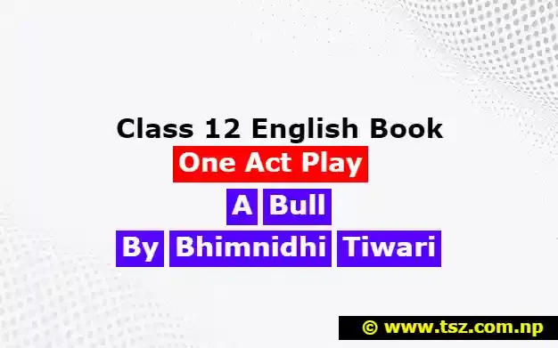 The bull exercise Questions and Answers PDF:  class 12 English