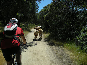 Ruta de Ávila a Madrid ¡Reto superado! - Junio 2013