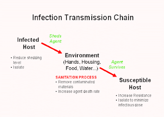 Infection transmission chain