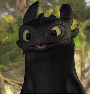 Train on Toothless From How To Train Your Dragon Bears A Striking Resemblance