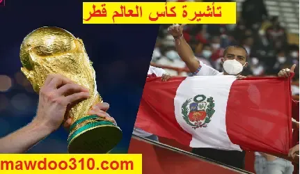 تأشيرة كأس العالم قطر