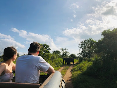 Sri Lank elephant safari