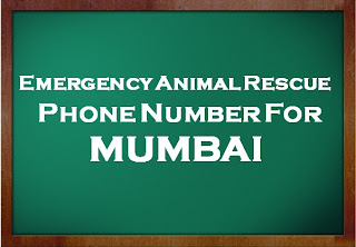 Animal Rescue Number Mumbai