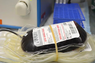 Blood bag