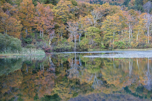 #photo #landscape #sigma #foveon #sdquattroh #japan #yamagata #nishikawa #写真 #風景写真 #山形帝國 #山形県 #西川町