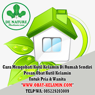 obat kutil kelamin: obat kutil kelamin di apotik, obat kutil kelamin pria di apotik, obat kutil kelamin wanita di apotik, obat kutil kelamin di apotik umum terdekat, obat kutil kelamin di apotik kimia farma k24, salep oles krim kutil kelamin, Cara Mengobati Kutil Dikemaluan Kelamin Dari Rumah Sendiri, cara menghilangkan kutil kelamin, Dokter Obat Kutil Kelamin Terbukti Terbaik Dan Terpercaya