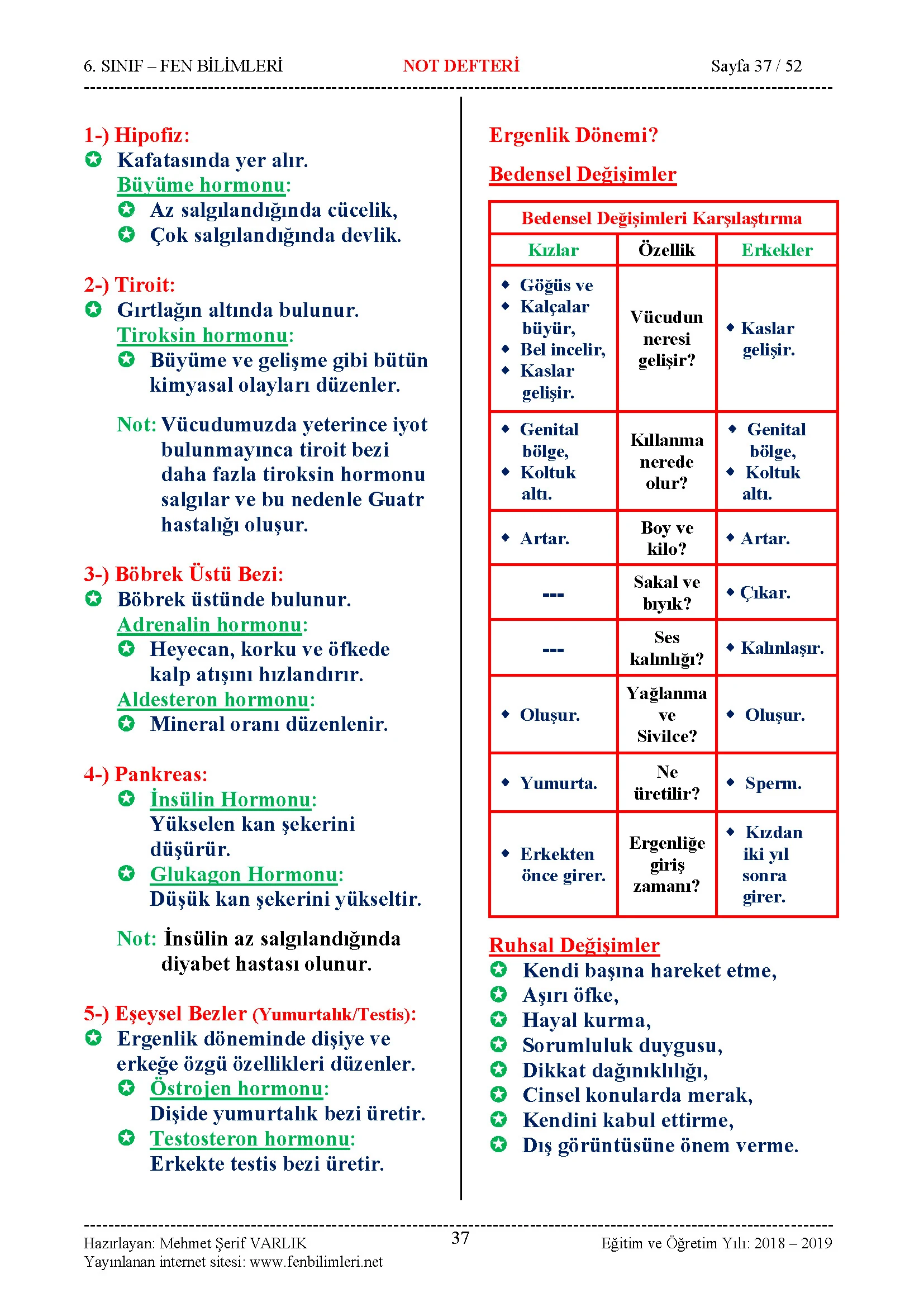 Fen Bilimleri 6.Sınıf Özet Ders Notu, Konu Anlatımı Pdf