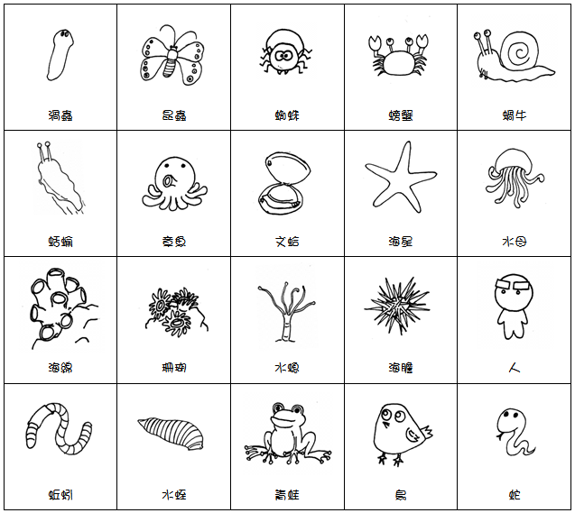 眉毛人教學亂亂講 嘗試簡單畫動物