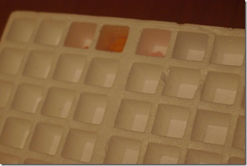 IMGP7350