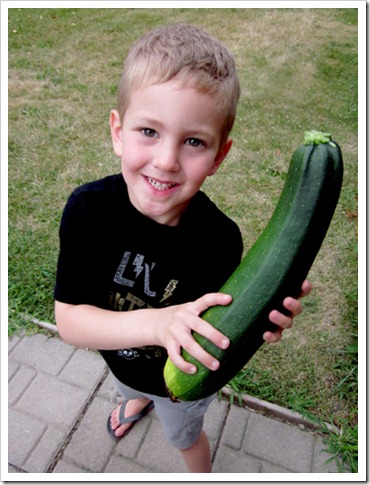 seanzuke2011