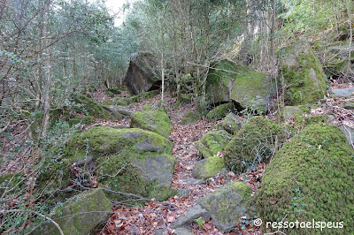 Ruta circular a les fonts del Fluvià