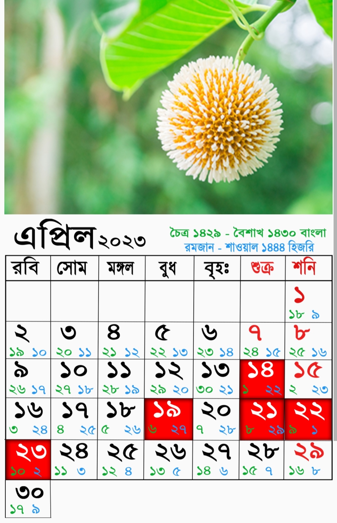 Bangla Calendar 2023 Bangladesh | বাংলা ক্যালেন্ডার ( বাংলা ক্যালেন্ডার 1429) | বাংলা ক্যালেন্ডার ২০২৩ আজকের তারিখ