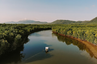Mangrove%2BKoh%2BLanta