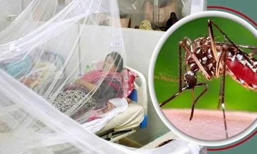 ICDS অঙ্গনওয়াড়ি ডেঙ্গু জ্বর ও তার প্রতিকার বিষয়ে রচনা @abbangla.com