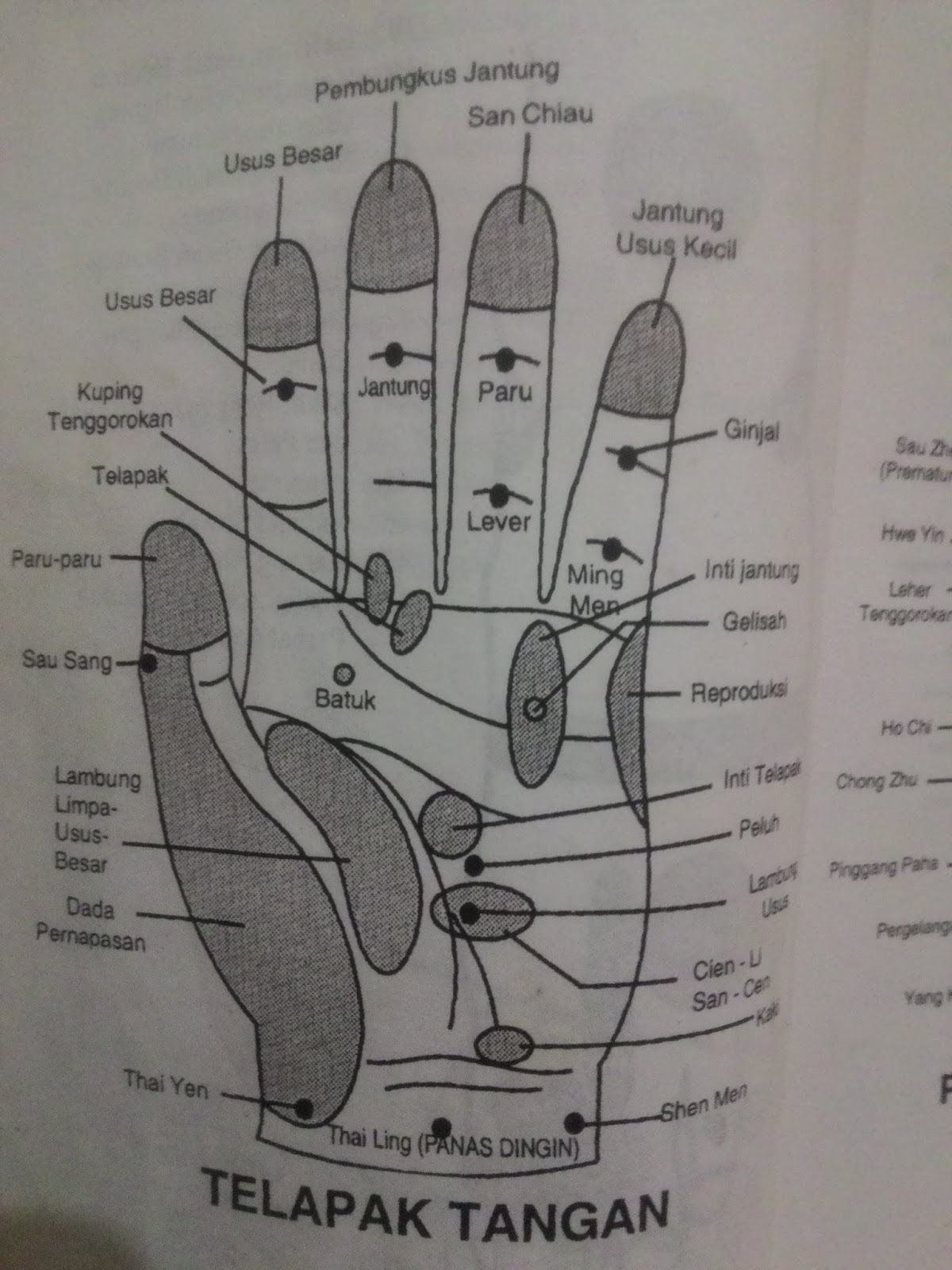 Gambar Refleksi Telapak Tangan Pijatlah Titik Pijat 