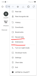 Extensions tab in kiwi browser